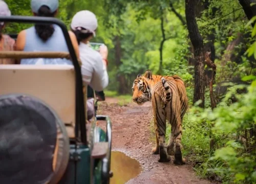 10 Days Ultimate Zimbabwe Safari