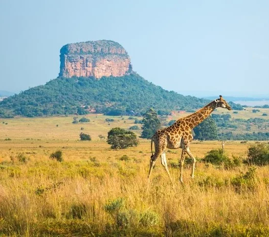 7 Days Family Botswana Safari