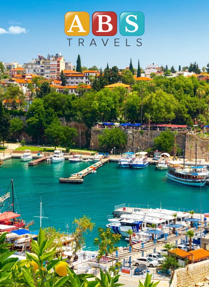 homepage section pic